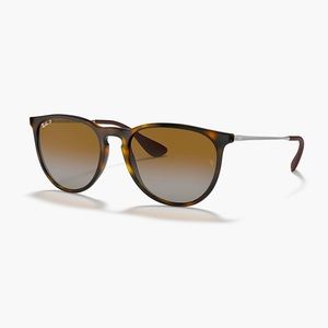 Ray-Band Erika Sunglasses
